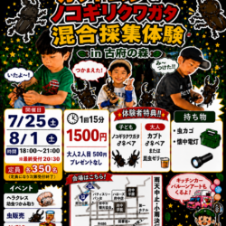 かぶとむし古府の森QR